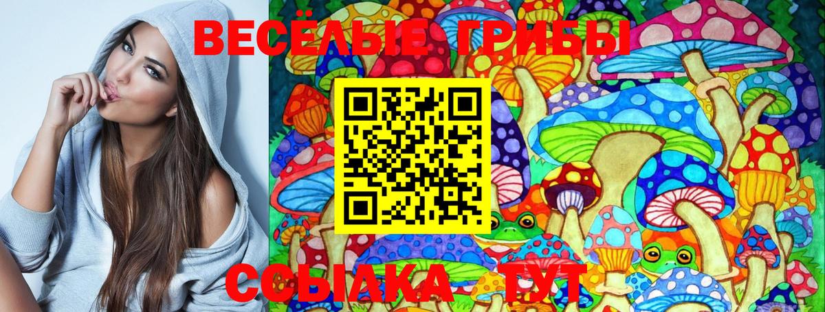 Галлюциногенные грибы Psilocybe Шуя